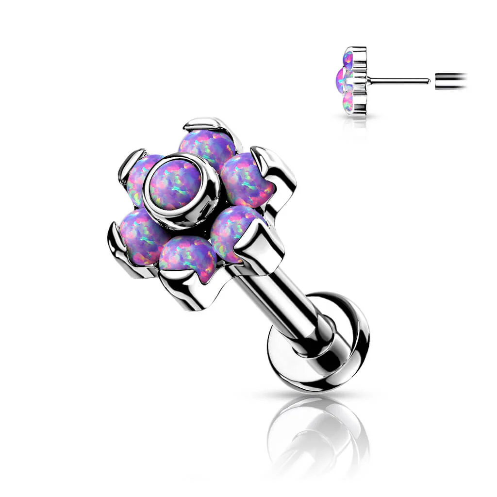 Image du produit 7