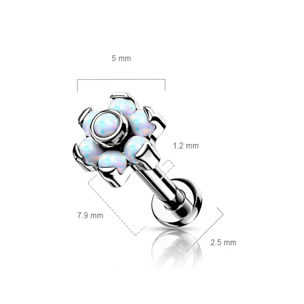 Image du produit 9