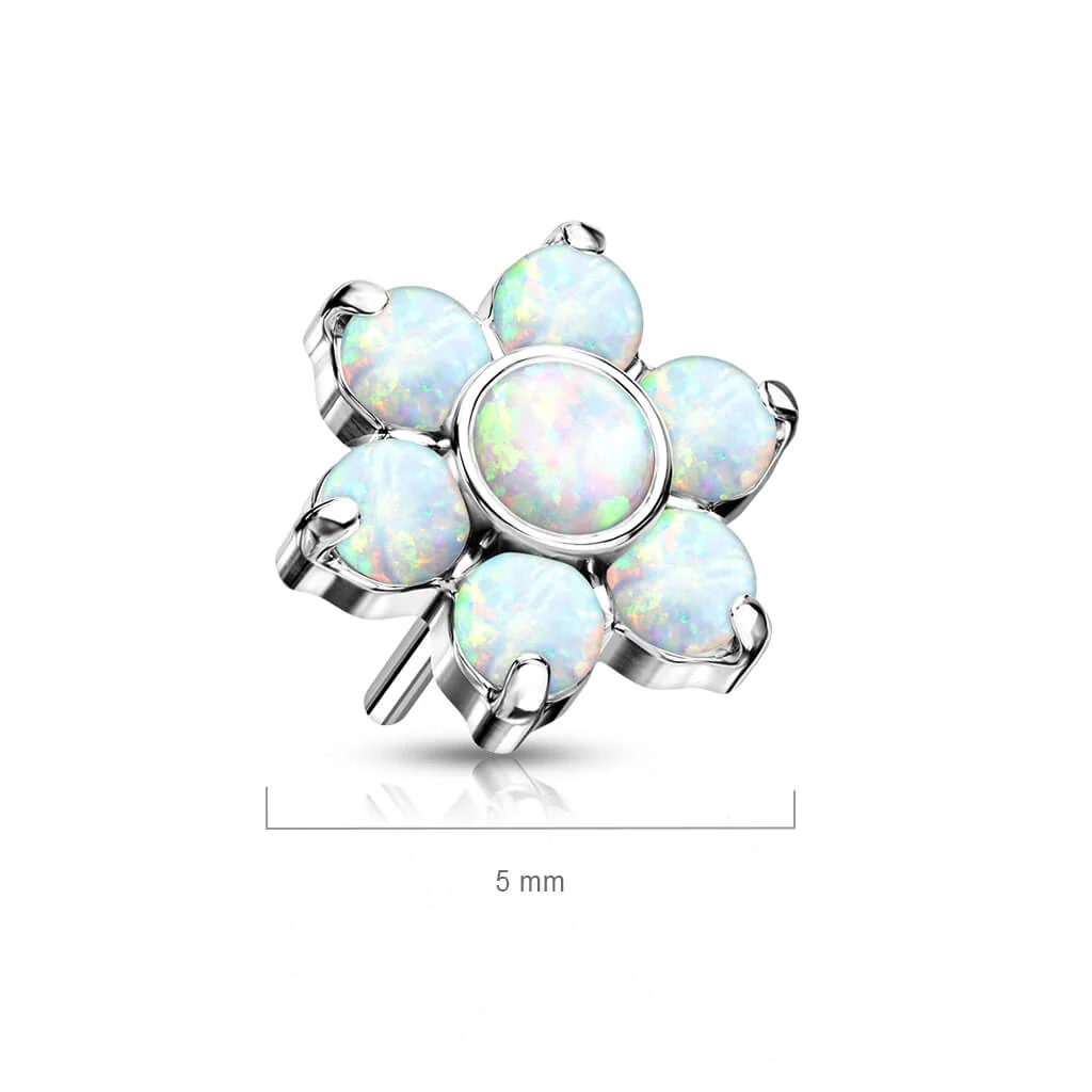 Image du produit 8